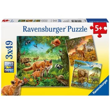 Animals of the Earth 3x49pc
